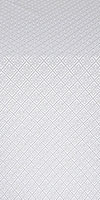 Omsk silk (rayon brocade) (white/silver)