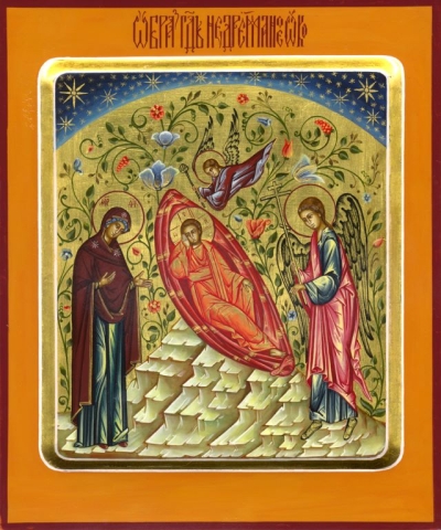 Icon: Christ the 'Unsleeping Eye' - O2